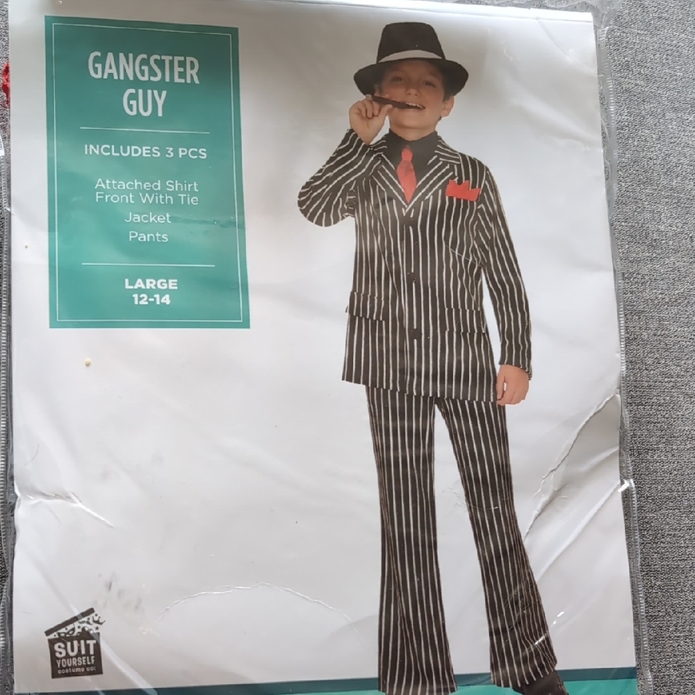 Gangster Guy Costume with Striped Suit